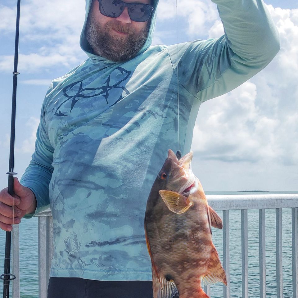 Hog fish 2