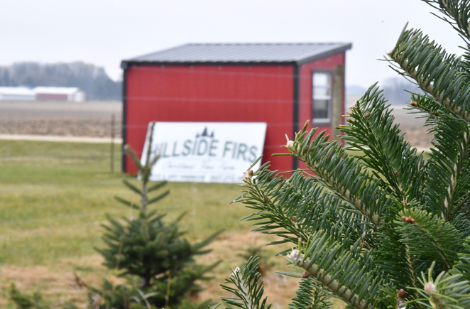 Screenshot 2025 12 04 at 3.50.26 pm