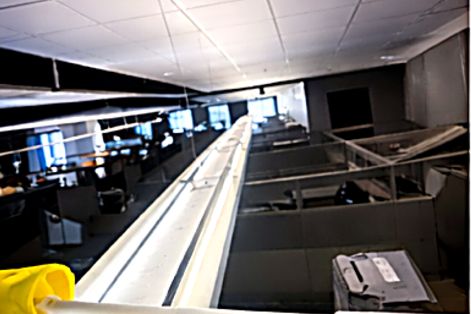 Mls scene3 high dusting office