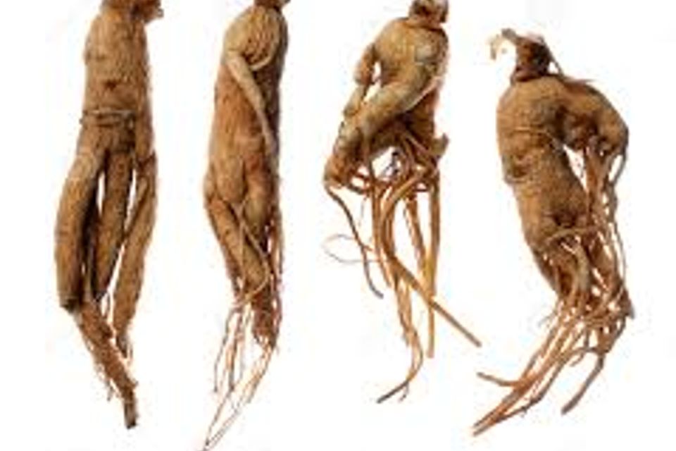 Ginseng roots 400009