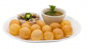 Indian bites food worcestr ma dishes (4)