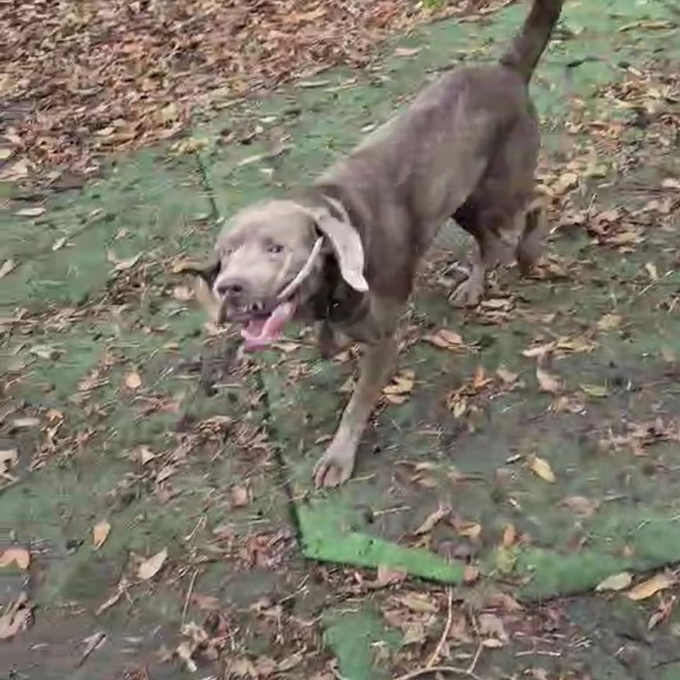 Messenger creation 64cc3218 15e0 4e50 ad5e 4206c8206d86 exported 1833