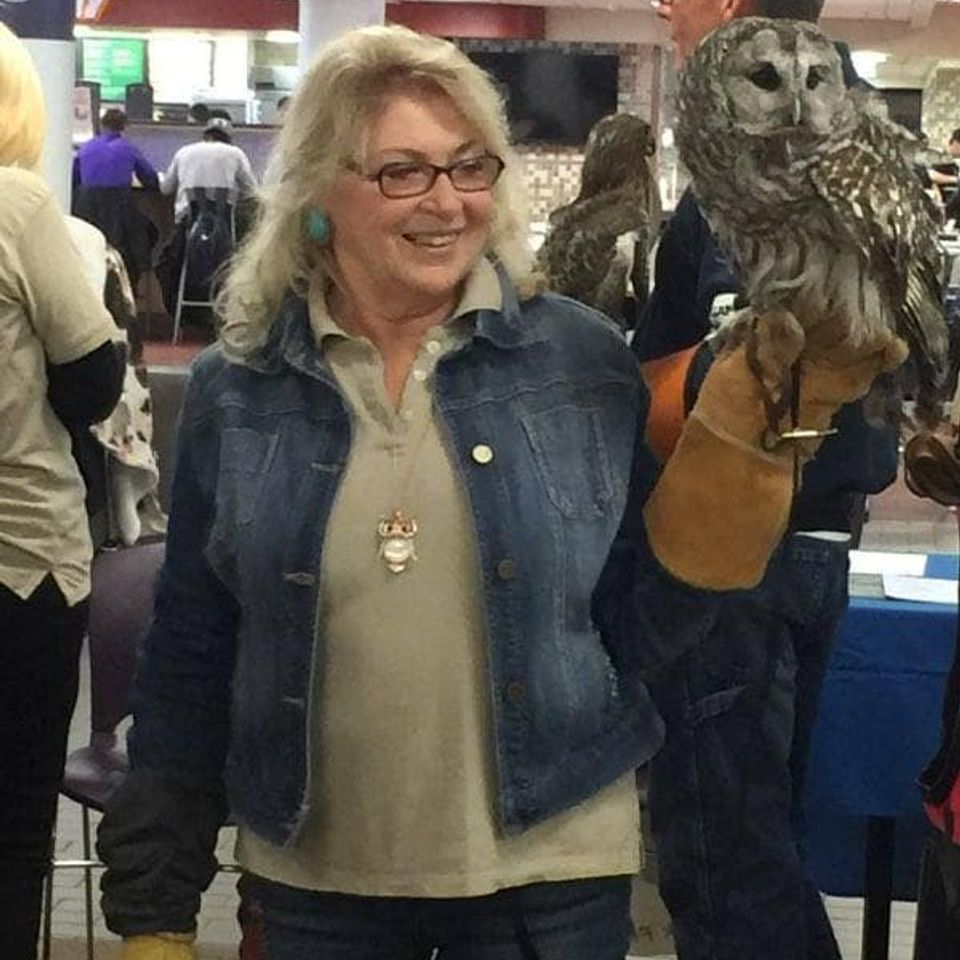 498929051 9383523871752765 6693652220564182961 n