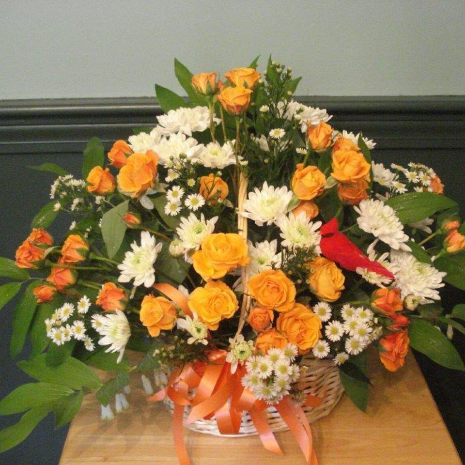 Sympathyorange