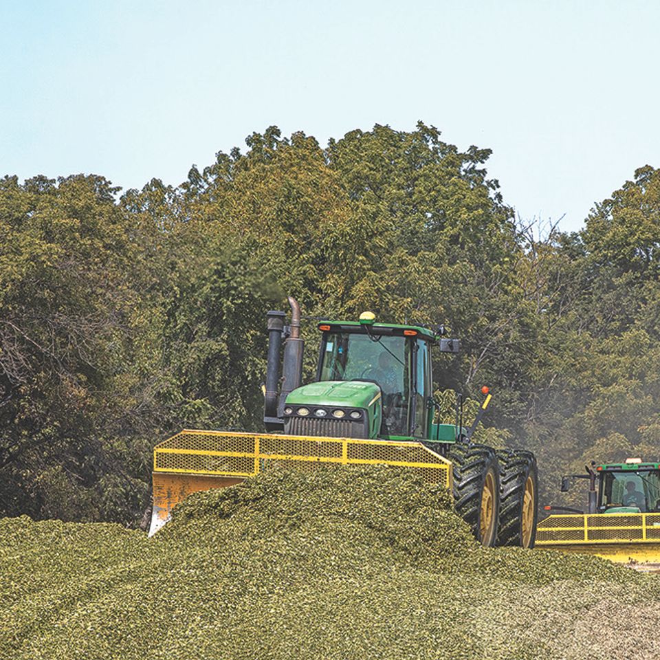 Cornsilage2024 177