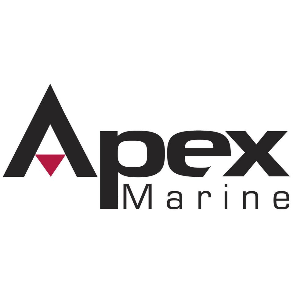 Apex logo large20150826 20835 vlh0hh