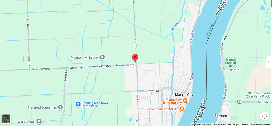 Screenshot 2026 03 11 at 8.32.23 am