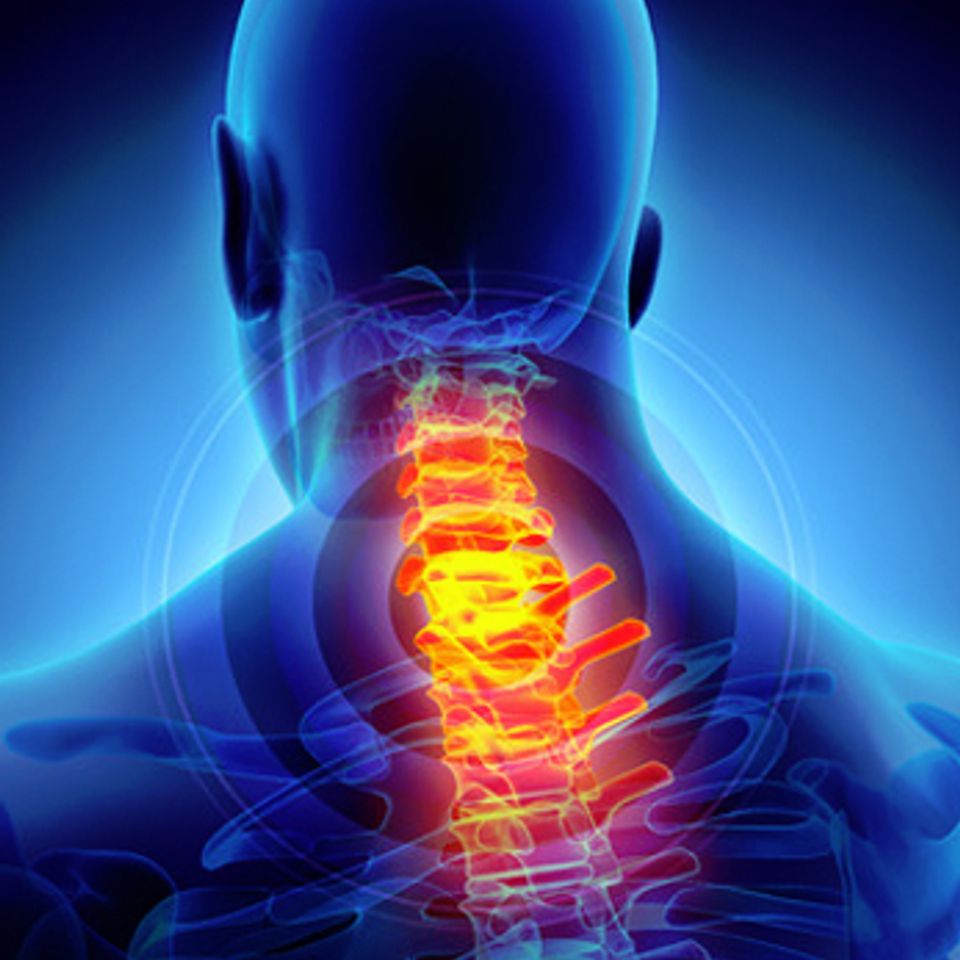 Neck