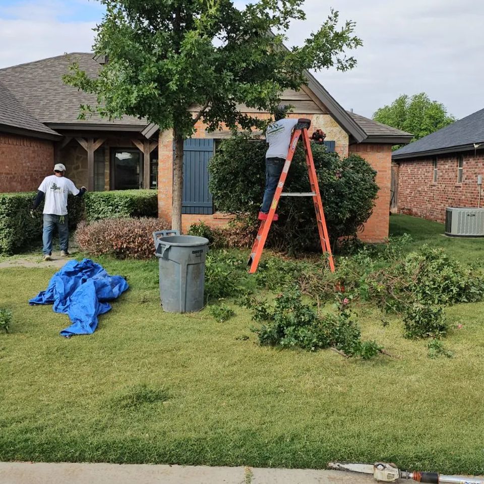 Unnamed (2) original (1)