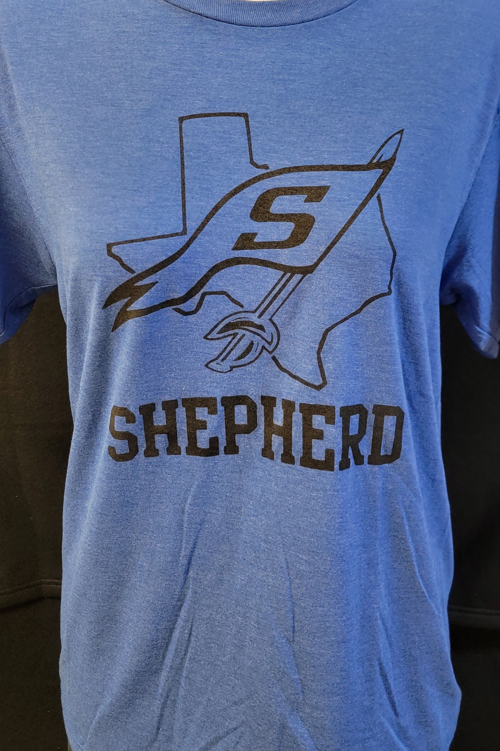 dtf-school_logo-blue_tee_shirt_original.jpg