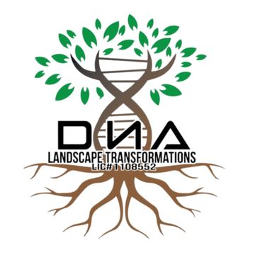 Dna landscape transformations