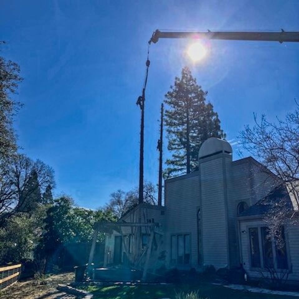 "Crane lifting tall tree trunk during professional tree removal at a residential home