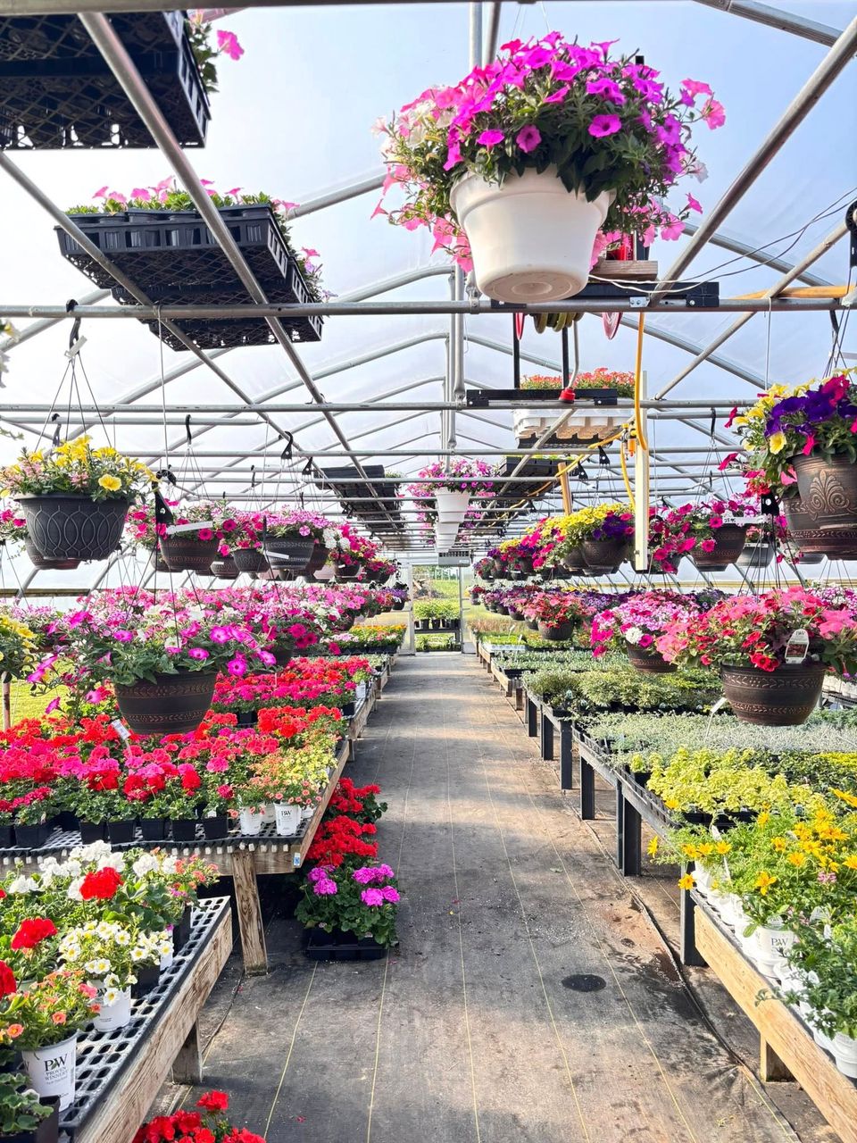 Maytown Gardens Greenhouse