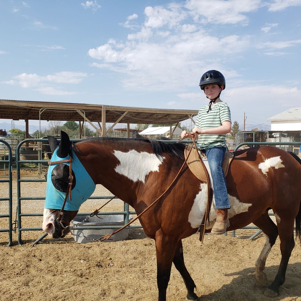 Riding horse