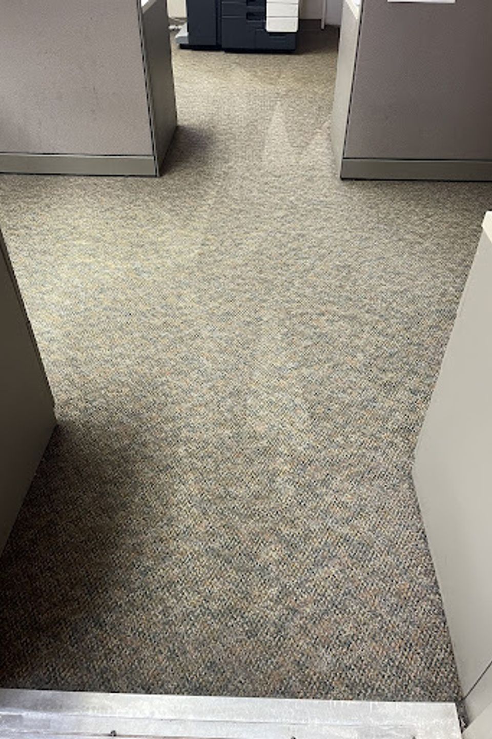 Carpet12