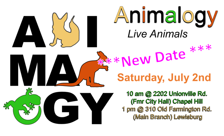Animalogy new