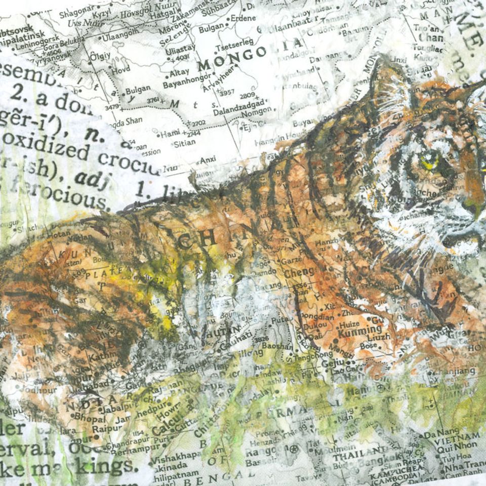 Momma tiger