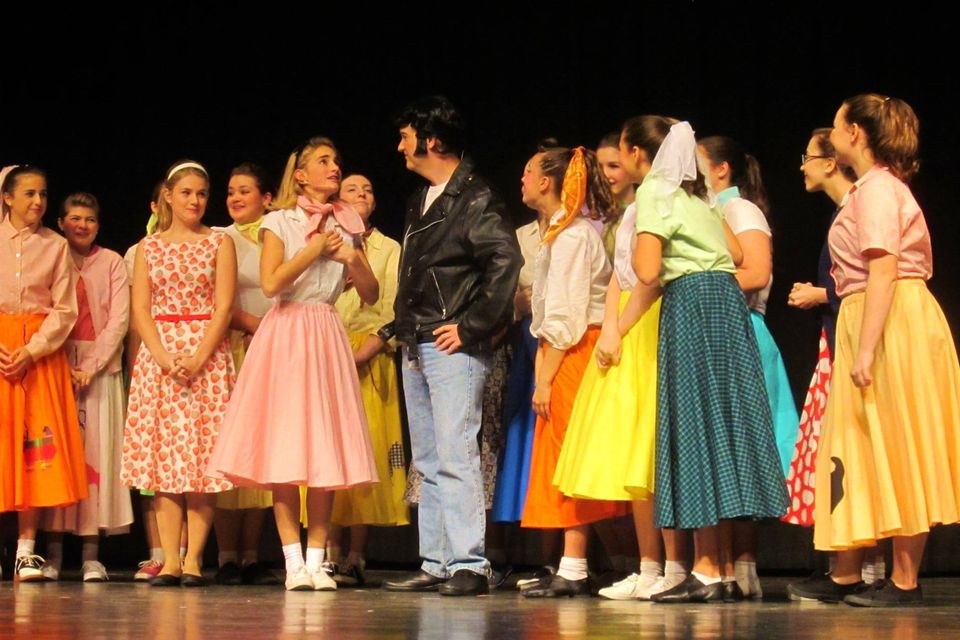 Bye bye birdie 5