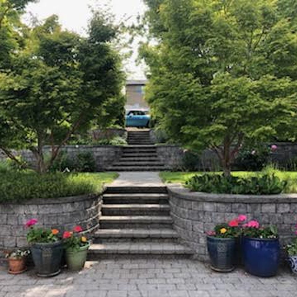 Steps after