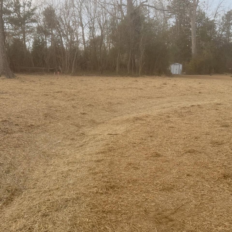 601197234 18106722127643565 9047444108966946956 n