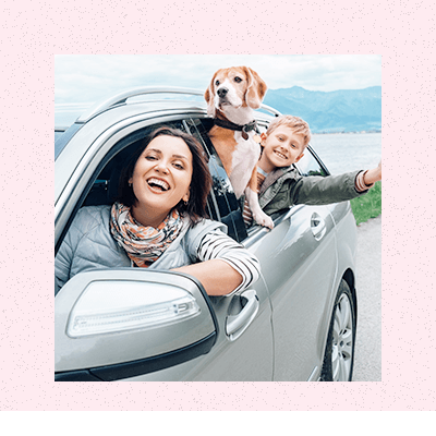 Auto insurance