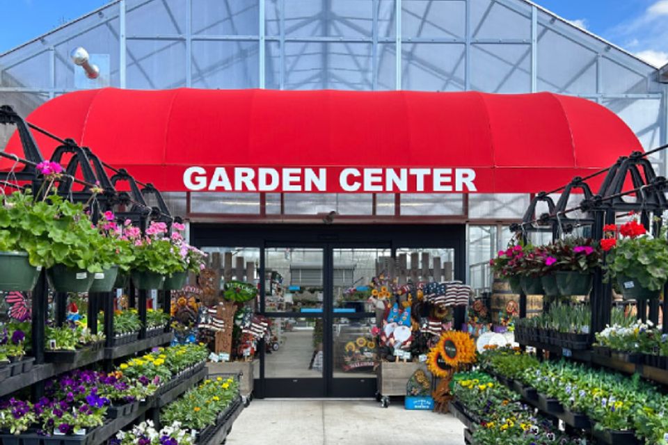 Garden 1