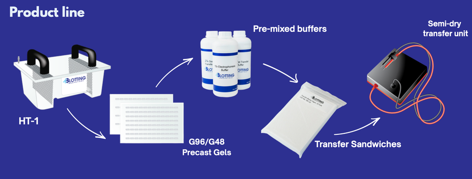 Blotting Innovations product line diagram showing five steps: HT-1, G96/G48 Precast Gels, Pre-mixed buffers, Transfer Sandwiches, and semi-dry transfer unit 