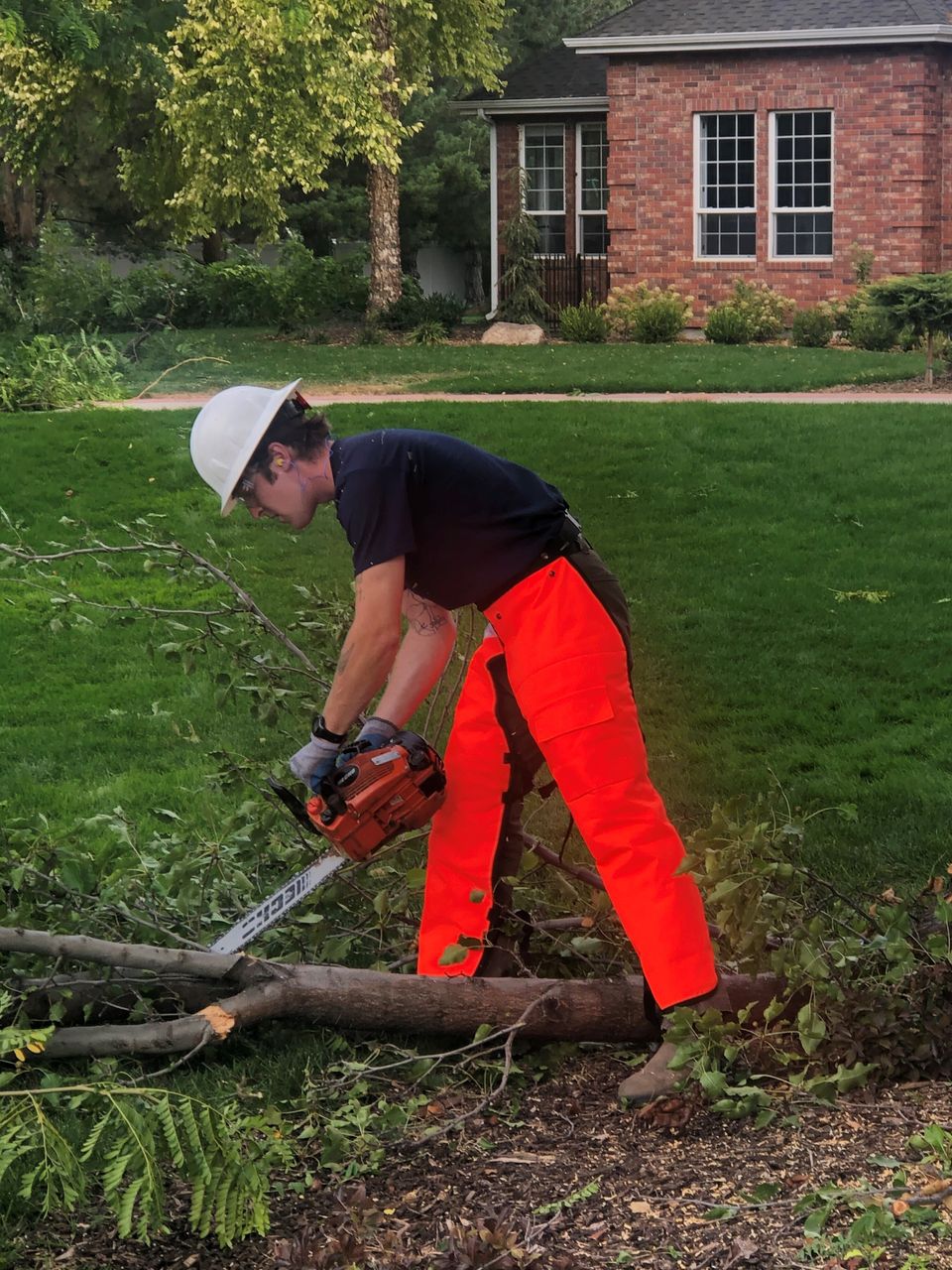 Tree Branch Sawing Boise