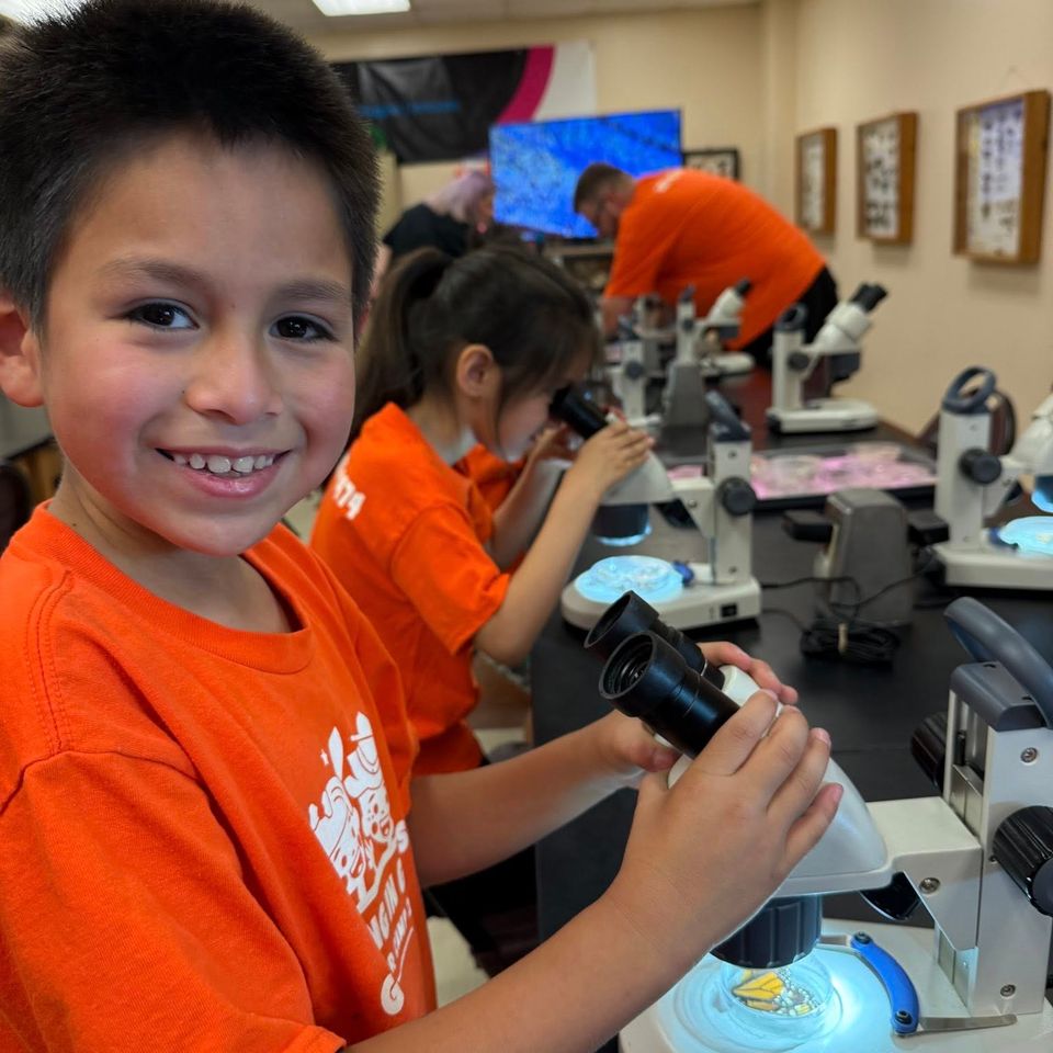 Growing in graces 10