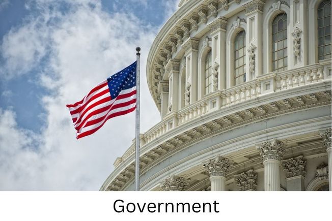 Government