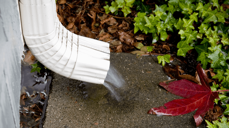 Water flowing from the downspout of a cleaned gutter.