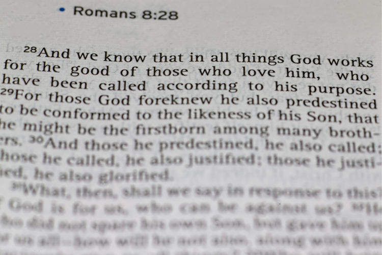 Romans 8 28