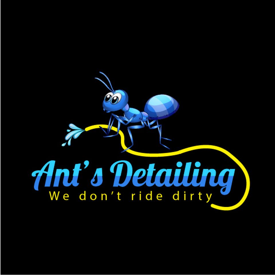 Ant’s detailing