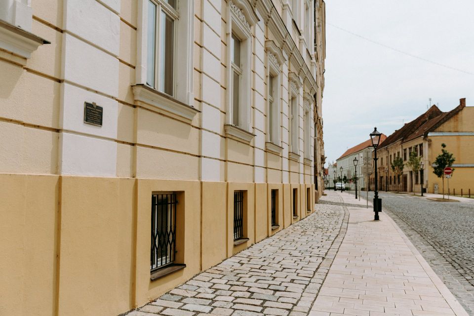 Trnava university r35dlcwg8fy unsplash