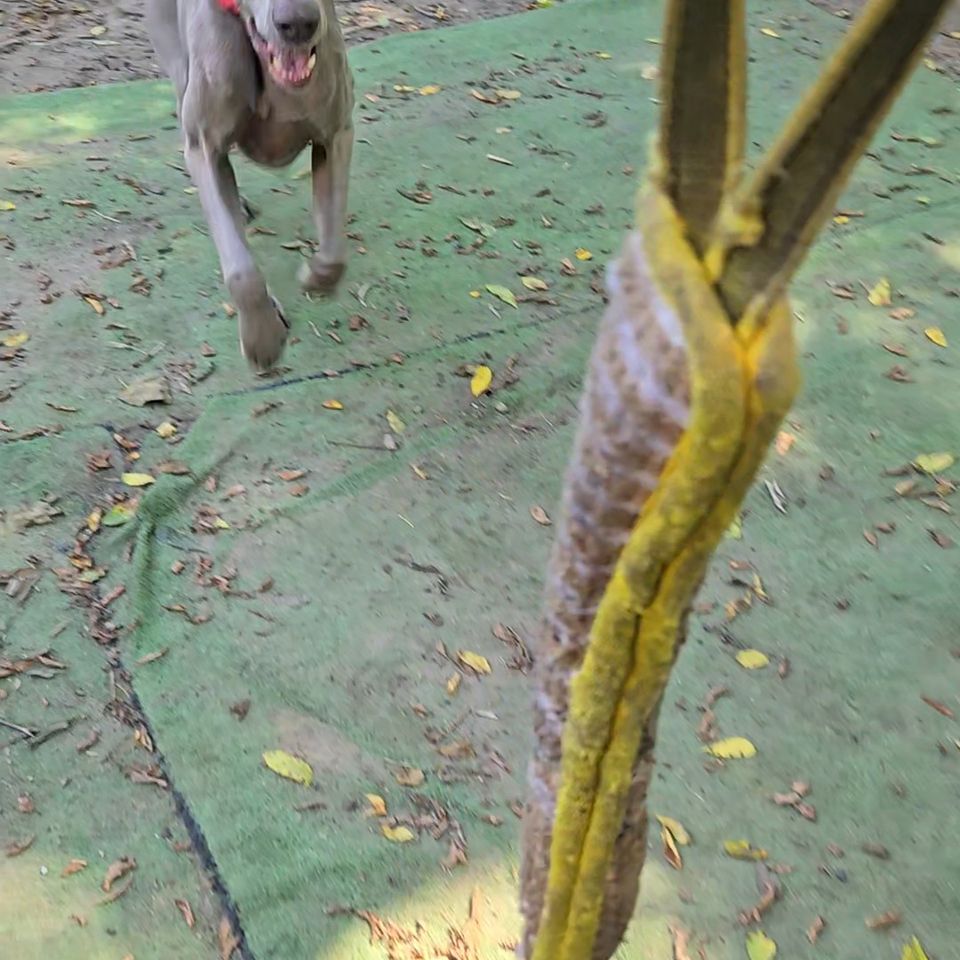 20250910 124354 exported 1666