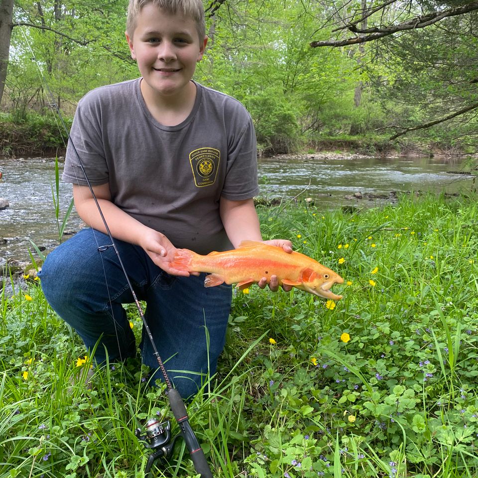 PA Outdoors Woods and Waterways Coen Kutz, 13" Trout caught in Lower Little Swatara Creek