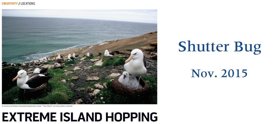 Shutterbug nov 201520151203 15437 183rgg3