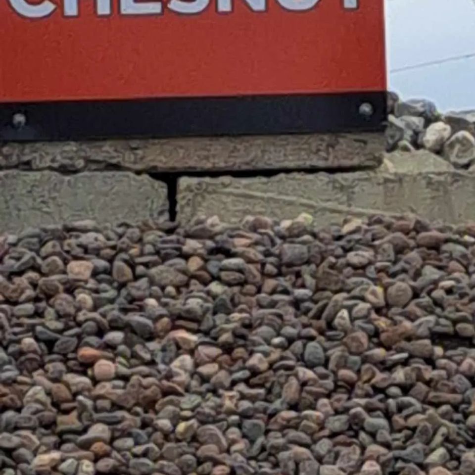 Chestnut