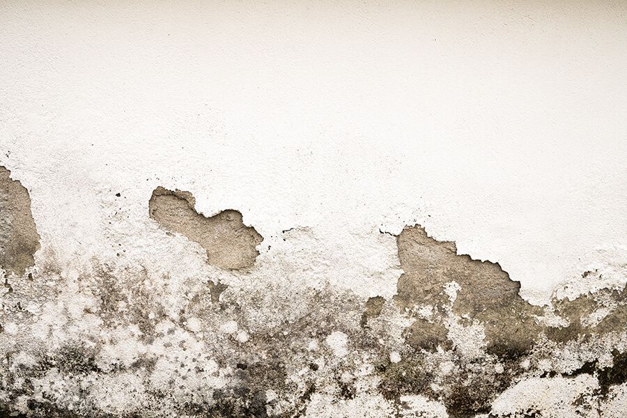 Adobestock 255215442