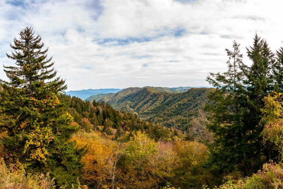  dsc0450 pano