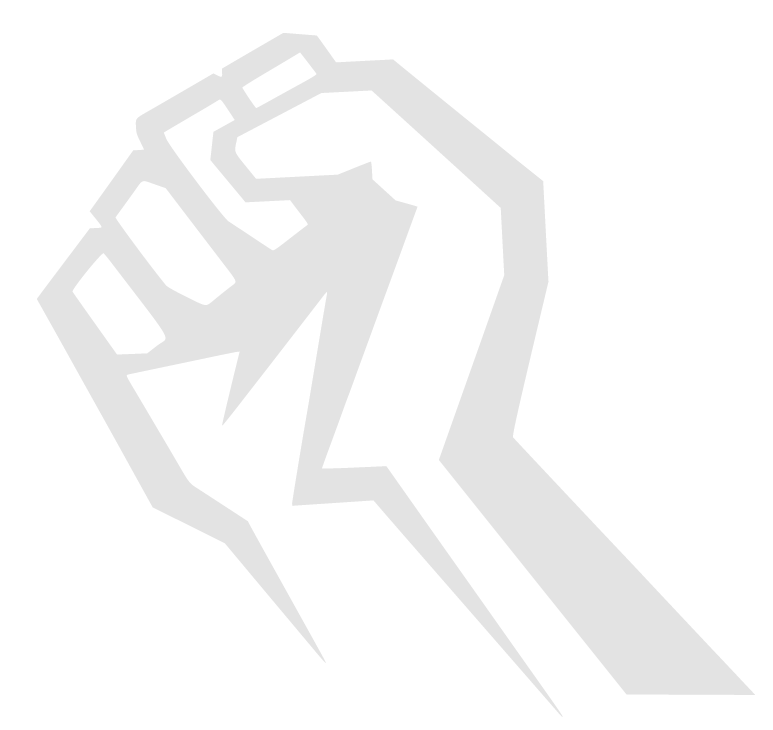 Iron Fists MMA Academy