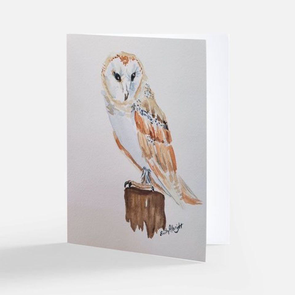Owl 2 wcp notecard
