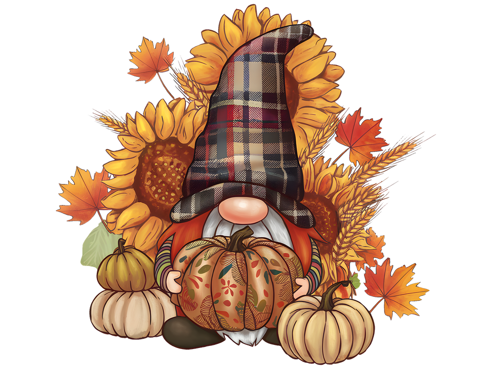 Seasons   fall fall gnome