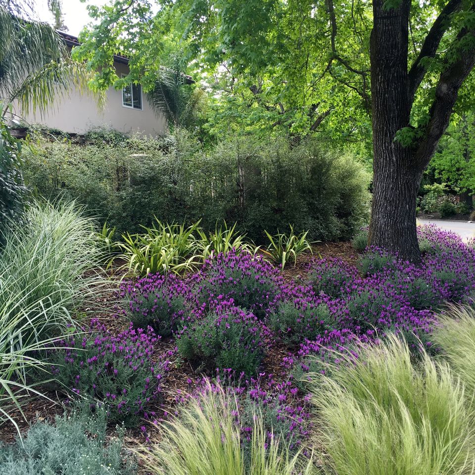 Img 3596