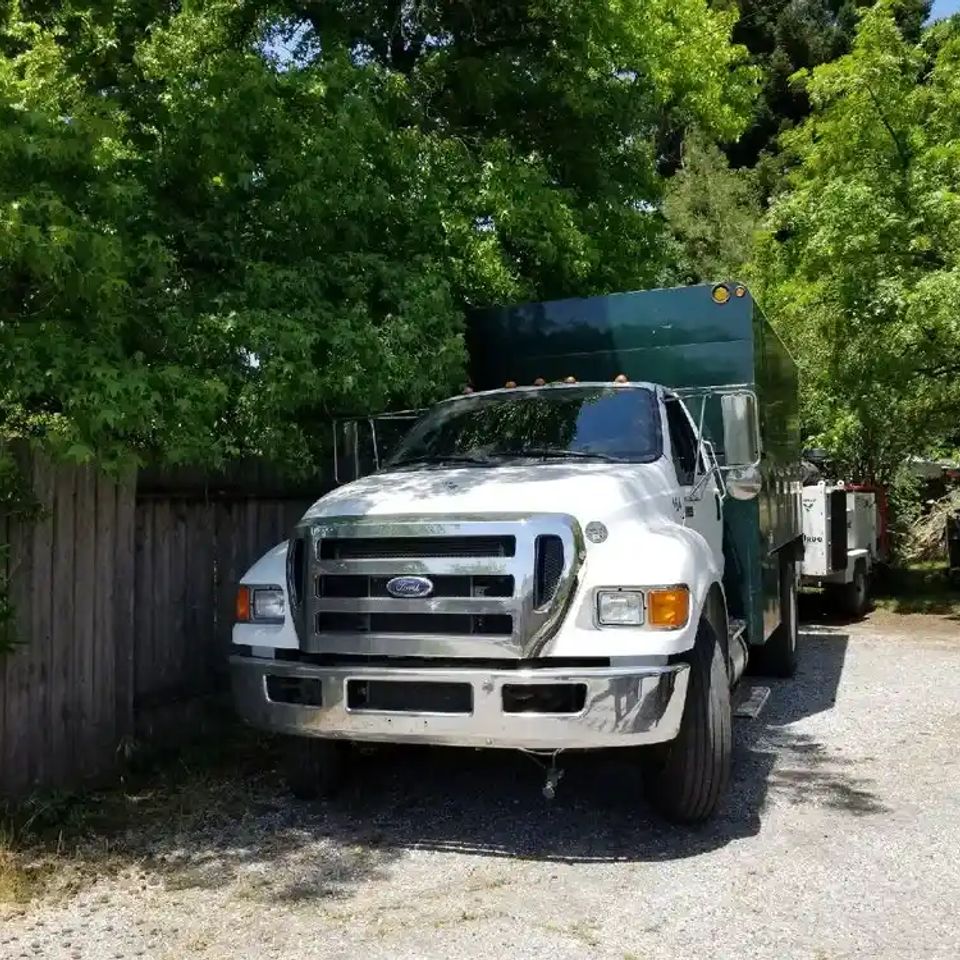 The Lyons Tree Service fleet serving Placer County; our branded trucks represent our commitment to safe, professional, and timely tree service in Northern California