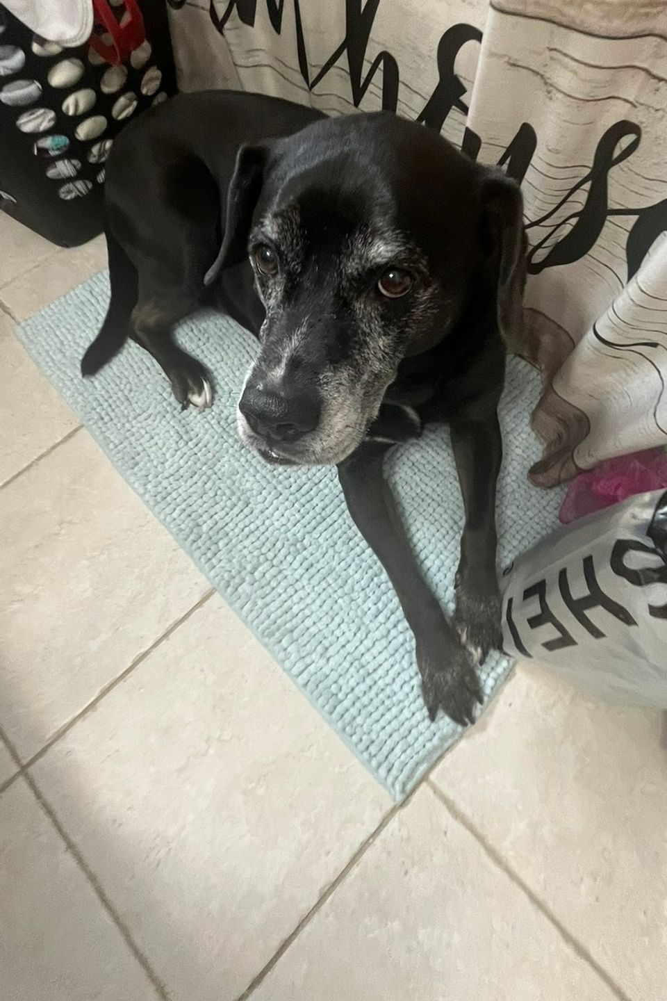 Jax