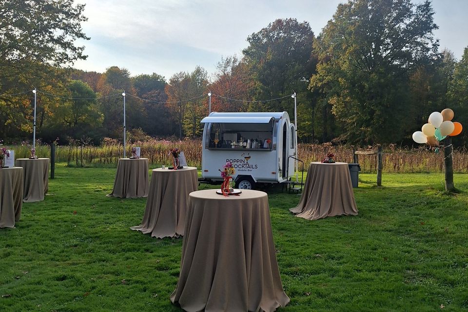 567949495 122241540080186797 5670684106198966591 n