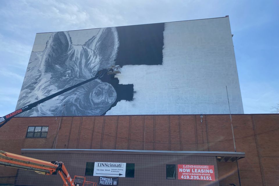 Ginger progress photo 27