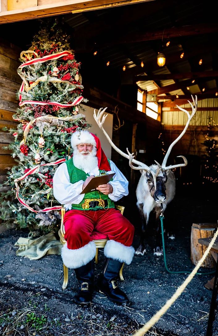 Santa and reindeer