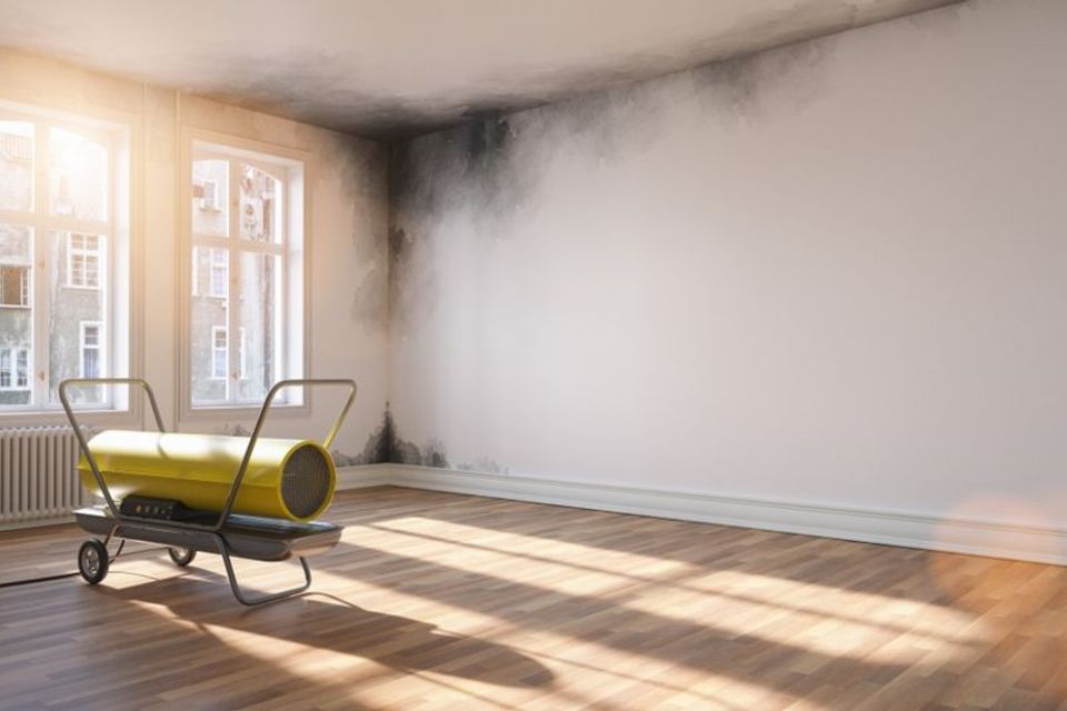 California general home restoration services    img3